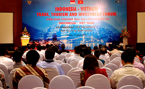 Indonesia promotes investment cooperation with Vietnam - ảnh 1